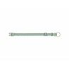 Collier pour Chien Trixie Premium Vert 25-40 cm