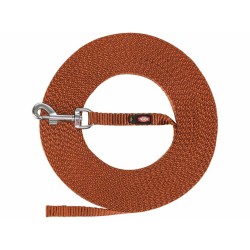 Laisse de suivi Trixie...