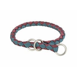 Collier pour Chien Trixie...