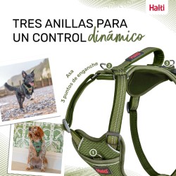 Harnais pour Chien Company of Animals Vert S 28-42 cm