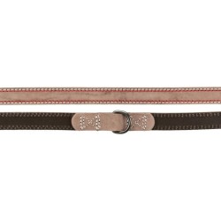 Laisse pour Chien Trixie Marron S/M 2 m