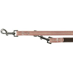 Laisse pour Chien Trixie Marron S/M 2 m
