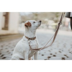 Laisse pour Chien Hunter Inari Beige 200 cm