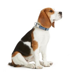 Collier pour Chien Hunter VARIO BASIC Bleu M 30-45 cm