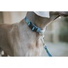 Laisse pour Chien Hunter Bleu 100 cm