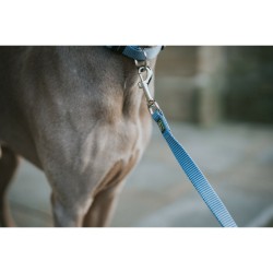 Laisse pour Chien Hunter Bleu 100 cm