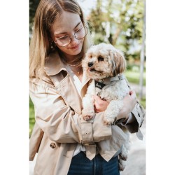 Harnais pour Chien Hunter DIVO UP Beige L