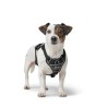 Harnais pour Chien Hunter DIVO UP Noir XS