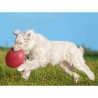 Frisbee Trixie Caoutchouc Ø 24 cm