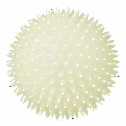 Jouet pour chien Trixie Ballon