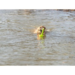 Jouet pour chien Trixie 29 cm