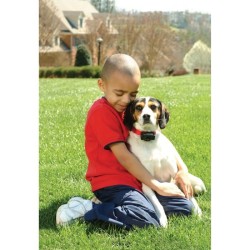 PETSAFE Collier anti-aboiement L-XL - Pour chien moyen et grand