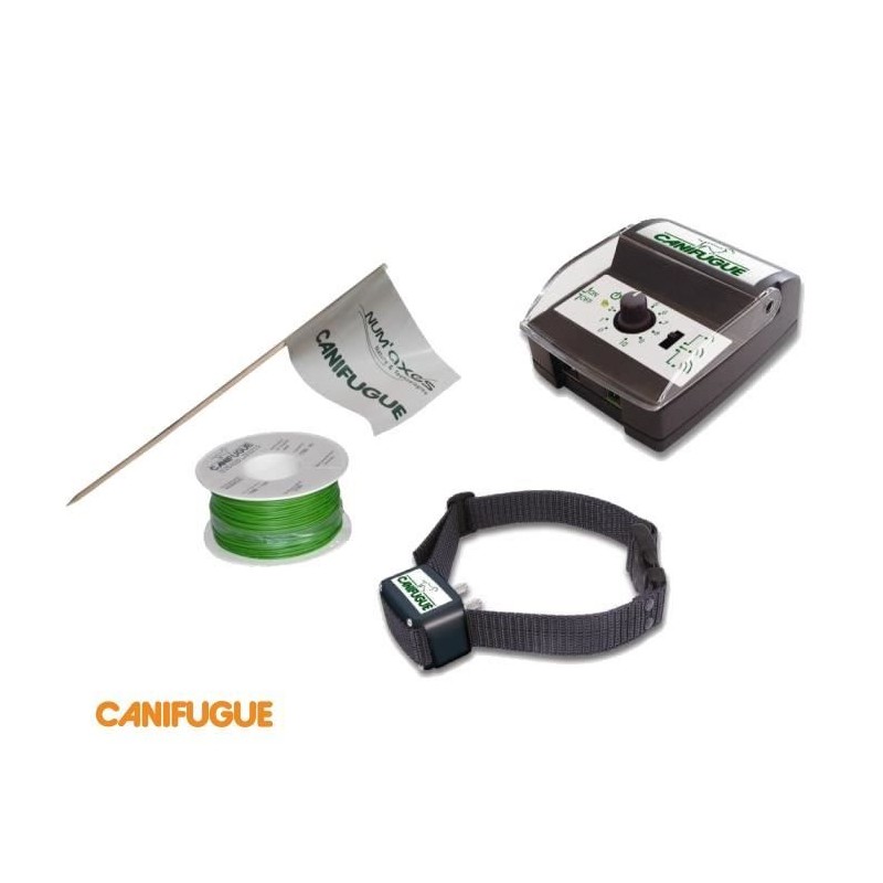 CANIFUGUE Clôture et collier anti-fugue pour chien