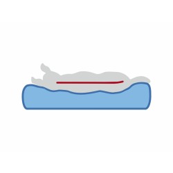 Matelas Trixie Vital Noah Gris foncé 120 × 80 CM