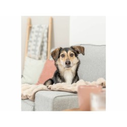 Couverture pour animaux de compagnie Trixie Elli Sable Polyester 70 × 50 cm