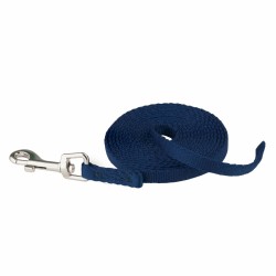 Laisse pour Chien Coachi...