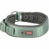 Collier pour Chien Trixie Premium Vert Graphite L 46-55 cm