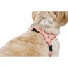Harnais pour Chien Hunter SOHO MINI Rose XS/S