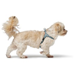 Harnais pour Chien Hunter SOHO MINI Bleu