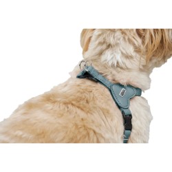 Harnais pour Chien Hunter SOHO MINI Bleu