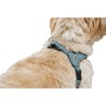 Harnais pour Chien Hunter SOHO MINI Bleu