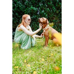 Collier pour Chien Hunter Malia Citron 12 40-49 cm