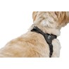 Harnais pour Chien Hunter SOHO MINI Noir XXS/XS