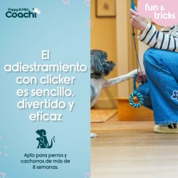 Harnais pour Chien Coachi