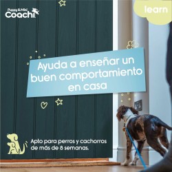 Harnais pour Chien Coachi