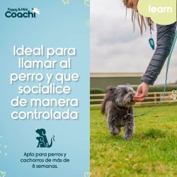 Harnais pour Chien Coachi