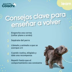 Harnais pour Chien Coachi
