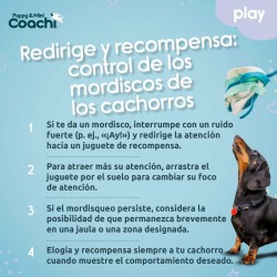 Harnais pour Chien Coachi