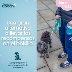 Harnais pour Chien Coachi