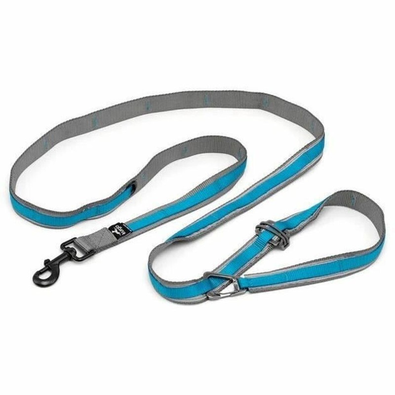 Sangle Kurgo Quantum Bleu Nylon