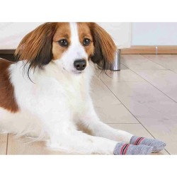 Chaussettes Trixie Gris M/L Chien