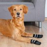 Chaussettes Trixie Noir L/XL Chien