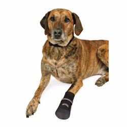 Bottes Trixie Walker Care Comfort Noir XXL