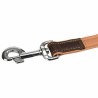 Laisse réglable pour chien Trixie Marron Marron Clair S/M 2 m