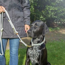 Collier d'entraînement pour chiens Trixie Soft Rope Vert Menthe M 45 cm
