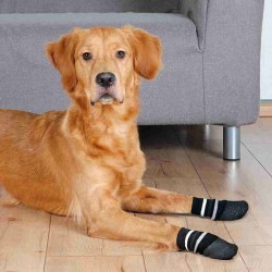 Chaussettes Trixie Noir S/M Chien