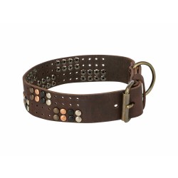 Collier pour Chien Trixie Rustic Brun foncé S-M