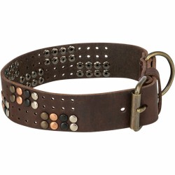 Collier pour Chien Trixie Rustic Brun foncé S-M