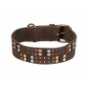 Collier pour Chien Trixie Rustic Brun foncé S-M