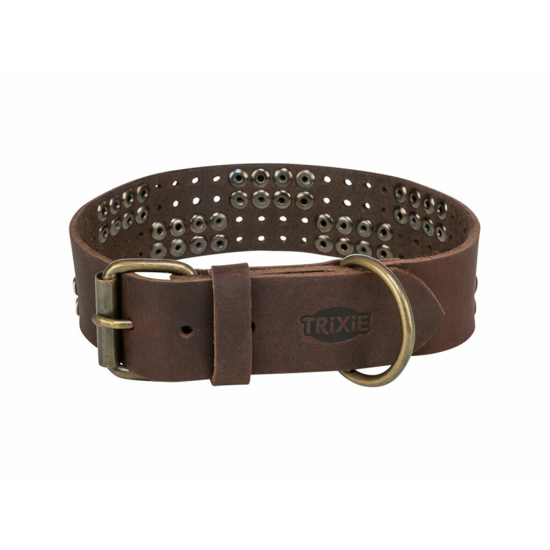 Collier pour Chien Trixie Rustic Brun foncé L
