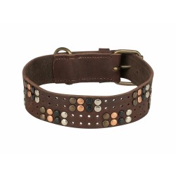 Collier pour Chien Trixie Rustic Brun foncé XL