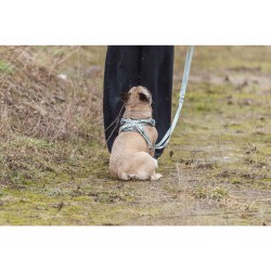 Harnais pour Chien Trixie Premium FlexMesh M