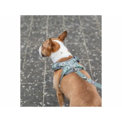 Harnais pour Chien Trixie Premium FlexMesh L
