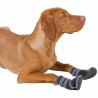Chaussures pour chiens Kerbl Noir XL