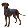 Gilet pour Chien Trixie Gris S