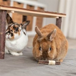 Jouet de dressage Trixie Bois Algues marines 10 × 3 CM (2 Unités)